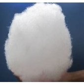 中国石化仪征化纤 WF319 涤纶短纤维