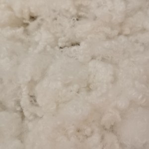 再生三维中空7d*51 A级7D*51加硅 涤纶短纤化学纤维