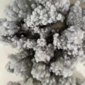 石墨烯纤维3d*32重硅 珍珠棉 小球形