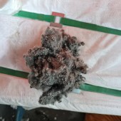 石墨烯纤维3d*32重硅 珍珠棉 小球形