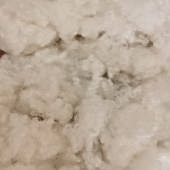 再生三维中空7d*51 A级7D*51加硅 涤纶短纤化学纤维