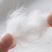 原生涤纶短纤0.8D超细 大化超柔顺滑Micro纤维