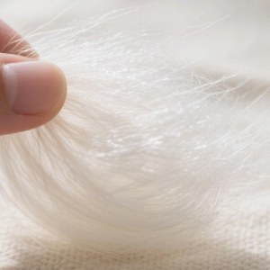 仿大化高强低伸 本白纺纱细旦纤维 柔滑大化原生