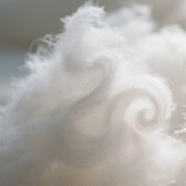 两维中空仿羽绒羽丝棉填充PP棉柔软蓬松透气性强可开具tc证书