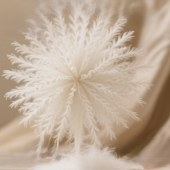 原生超细仿羽绒 原生优质大化超柔羽丝