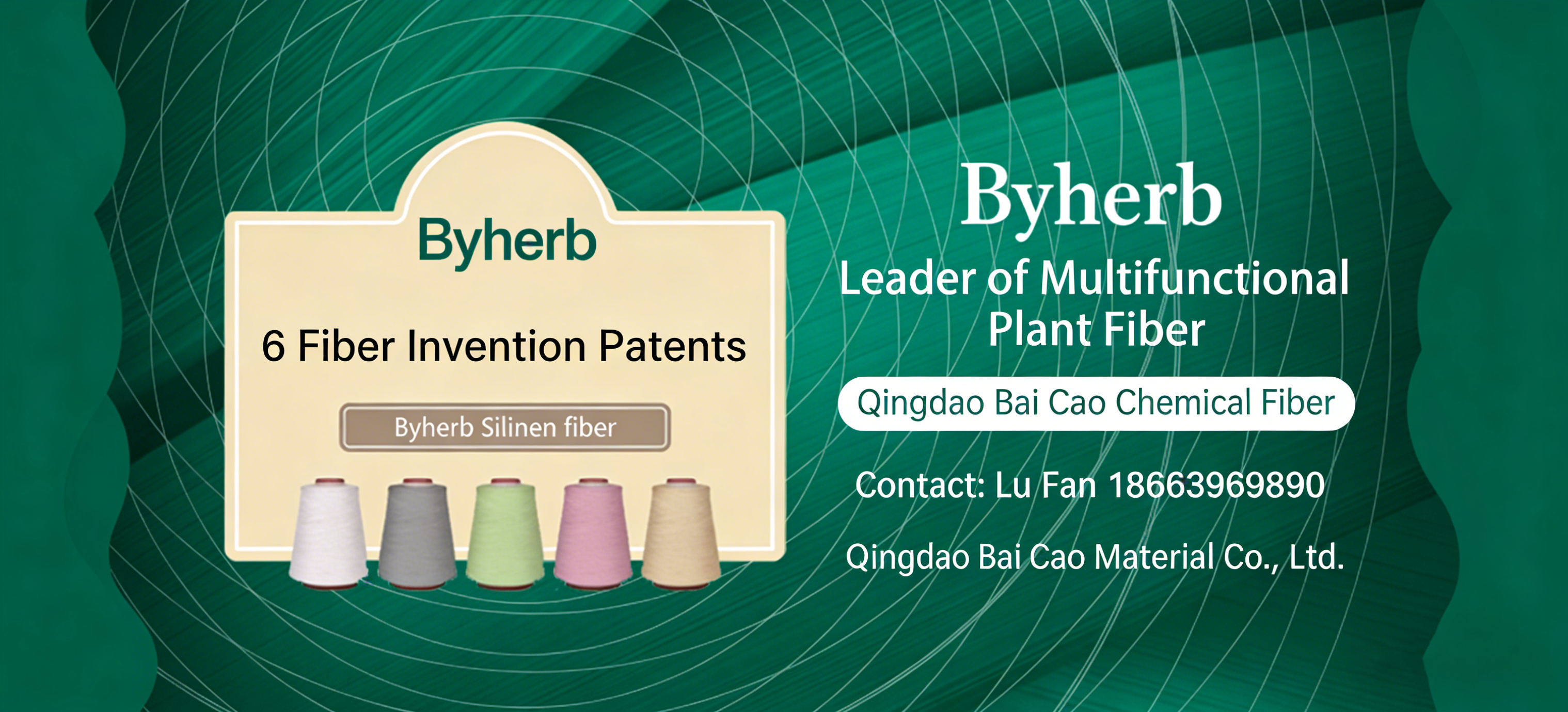 Member login on the left side